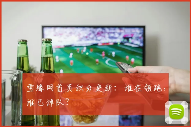 雪缘网首页积分更新：谁在领跑，谁已掉队？
